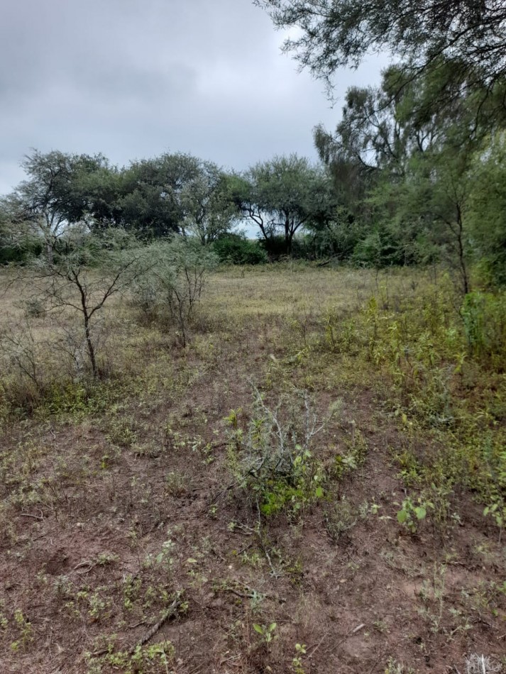Se vende Chacra 17Ha en TERMAS DE RIO HONDO
