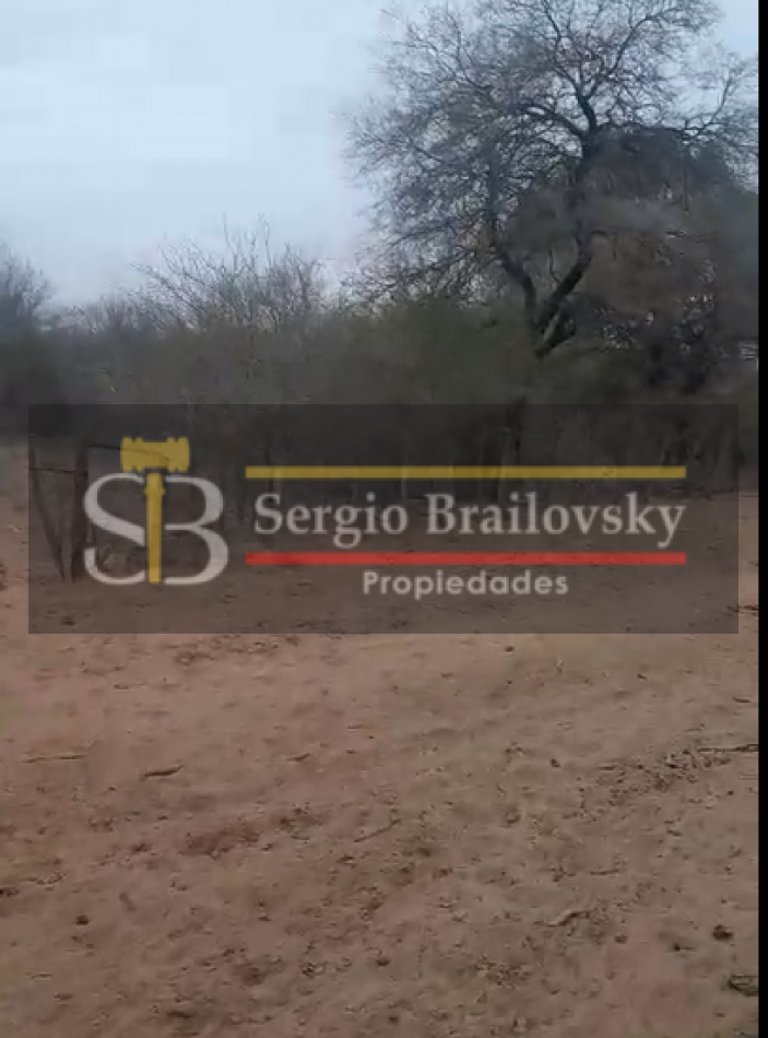 SE VENDE CAMPO DE 100 HA Candelaria San Luis