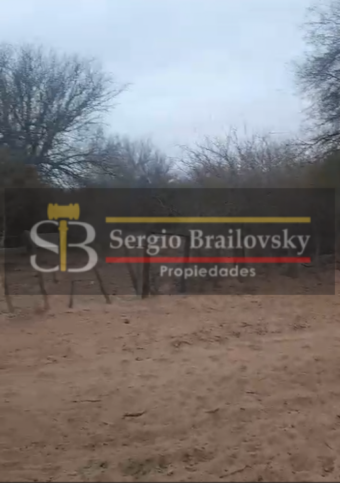SE VENDE CAMPO DE 100 HA Candelaria San Luis