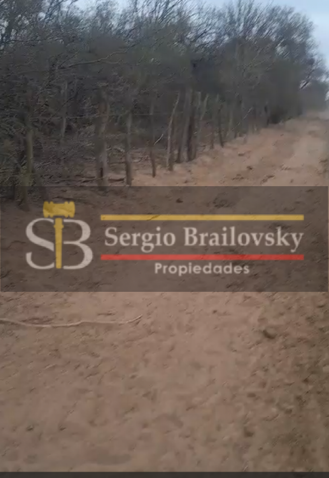 SE VENDE CAMPO DE 100 HA Candelaria San Luis