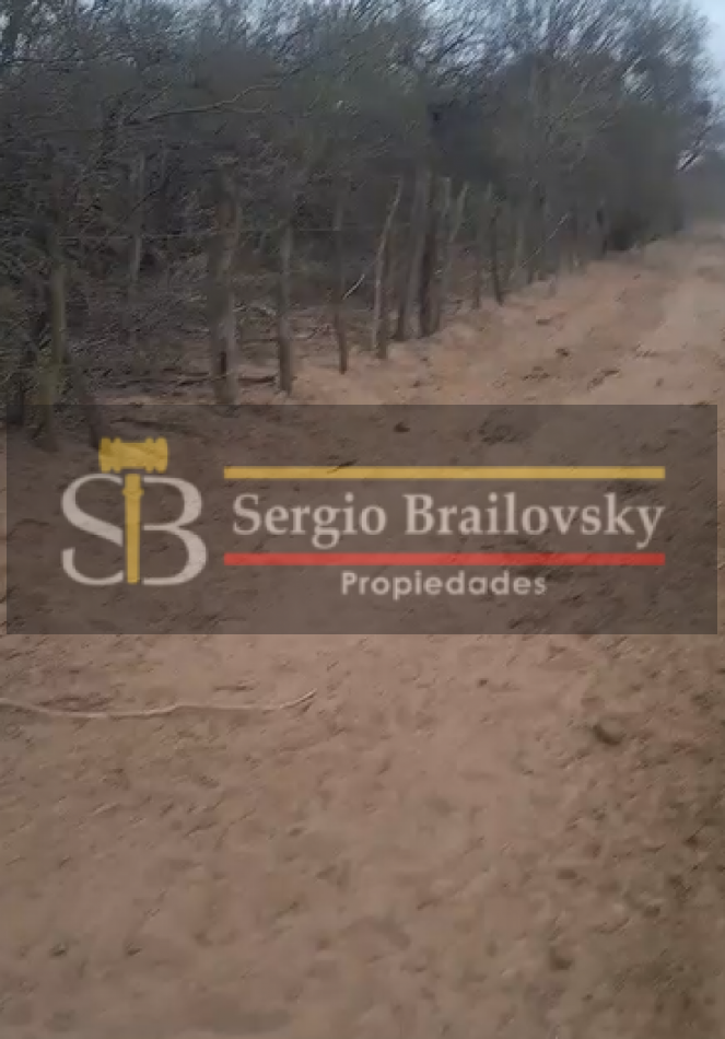 SE VENDE CAMPO DE 100 HA Candelaria San Luis