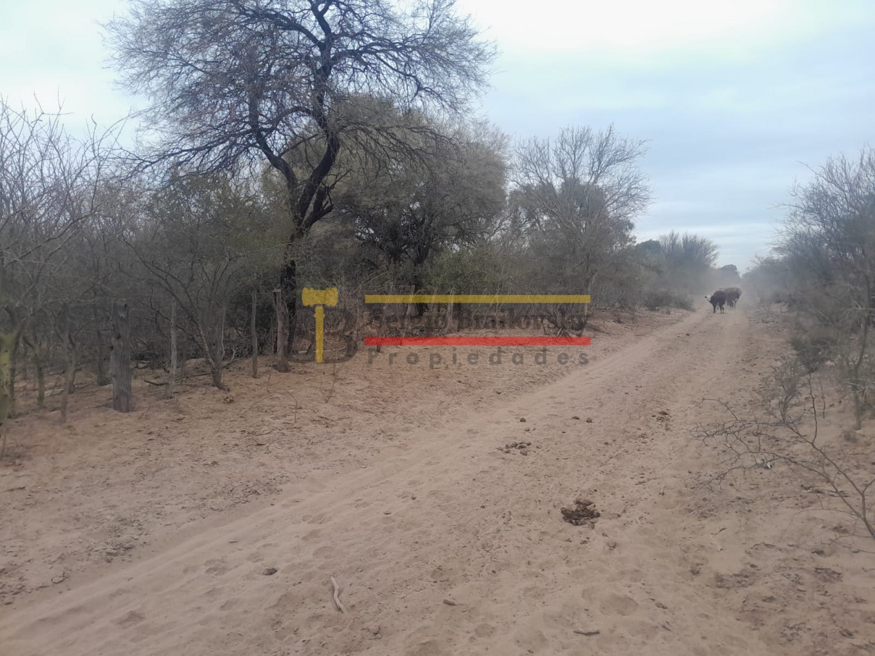 Se Vende Terreno/ Lote en Candelaria-  San Luis