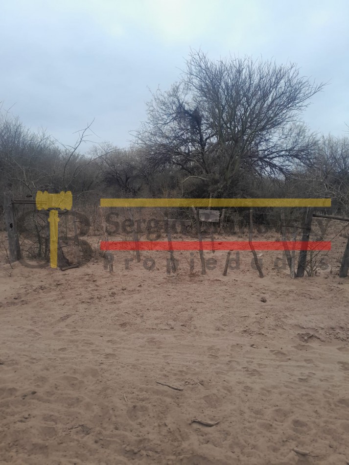 SE VENDE CAMPO DE 100 HA Candelaria San Luis