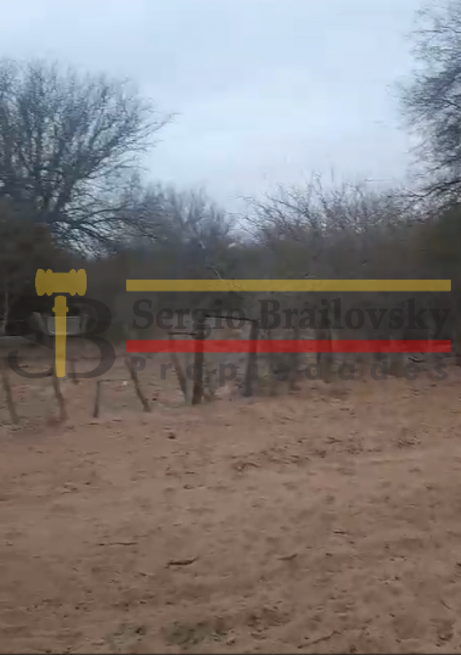 SE VENDE CAMPO DE 100 HA Candelaria San Luis