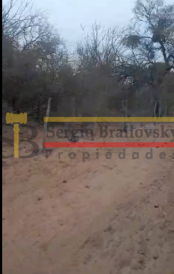 SE VENDE CAMPO DE 100 HA Candelaria San Luis