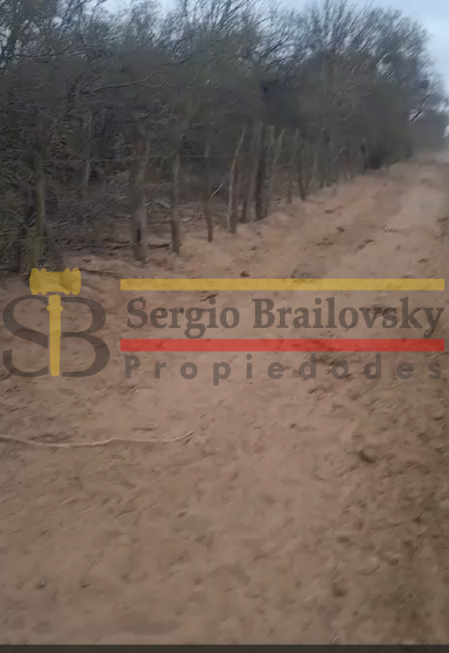 SE VENDE CAMPO DE 100 HA Candelaria San Luis