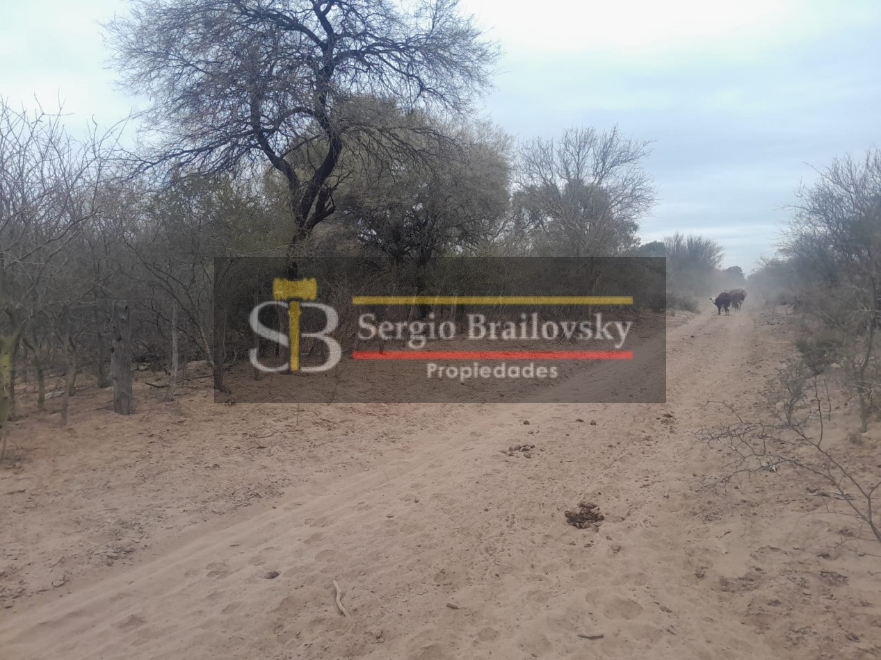 SE VENDE CAMPO DE 100 HA Candelaria San Luis
