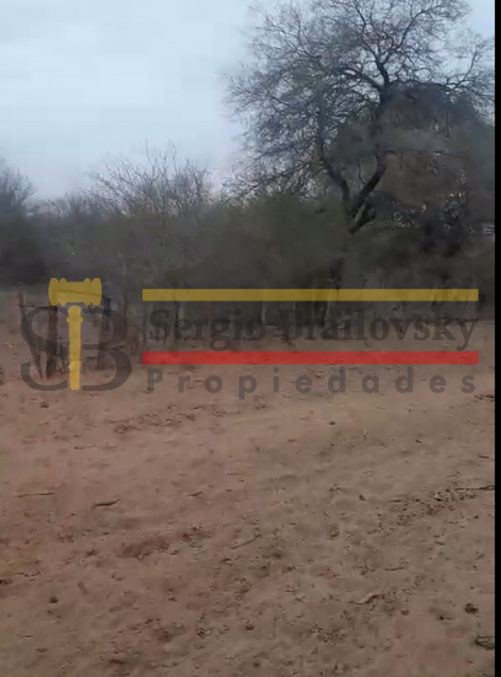 SE VENDE CAMPO DE 100 HA Candelaria San Luis