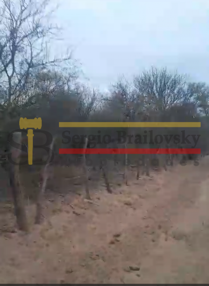 SE VENDE CAMPO DE 100 HA Candelaria San Luis