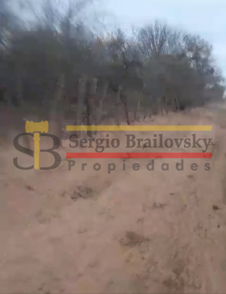 SE VENDE CAMPO DE 100 HA Candelaria San Luis