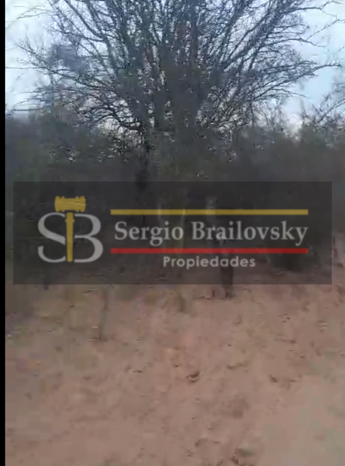 SE VENDE CAMPO DE 100 HA Candelaria San Luis