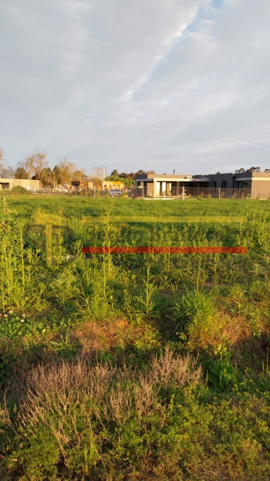 Lote en los Patos a la Venta