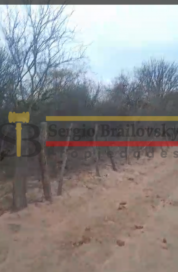 SE VENDE CAMPO DE 100 HA Candelaria San Luis