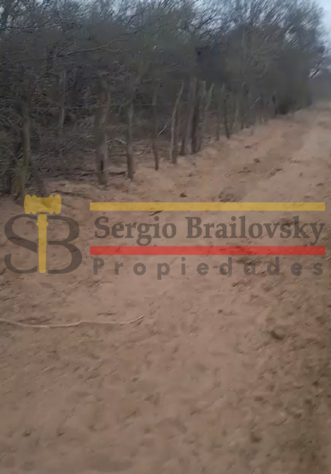 SE VENDE CAMPO DE 100 HA Candelaria San Luis