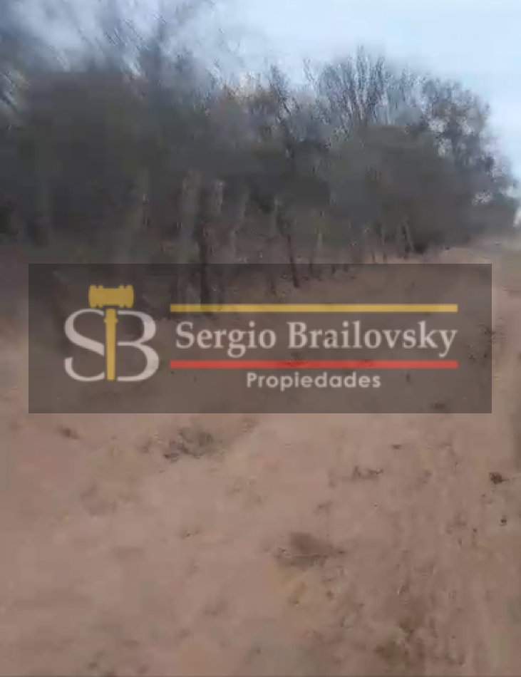 SE VENDE CAMPO DE 100 HA Candelaria San Luis