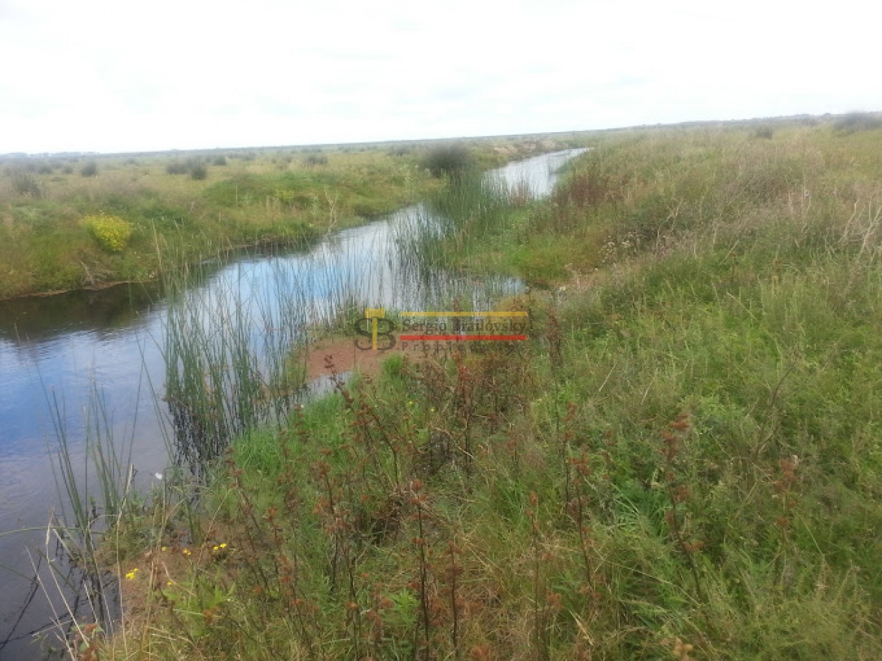 SE VENDE LOTE EN EL SALVAJE