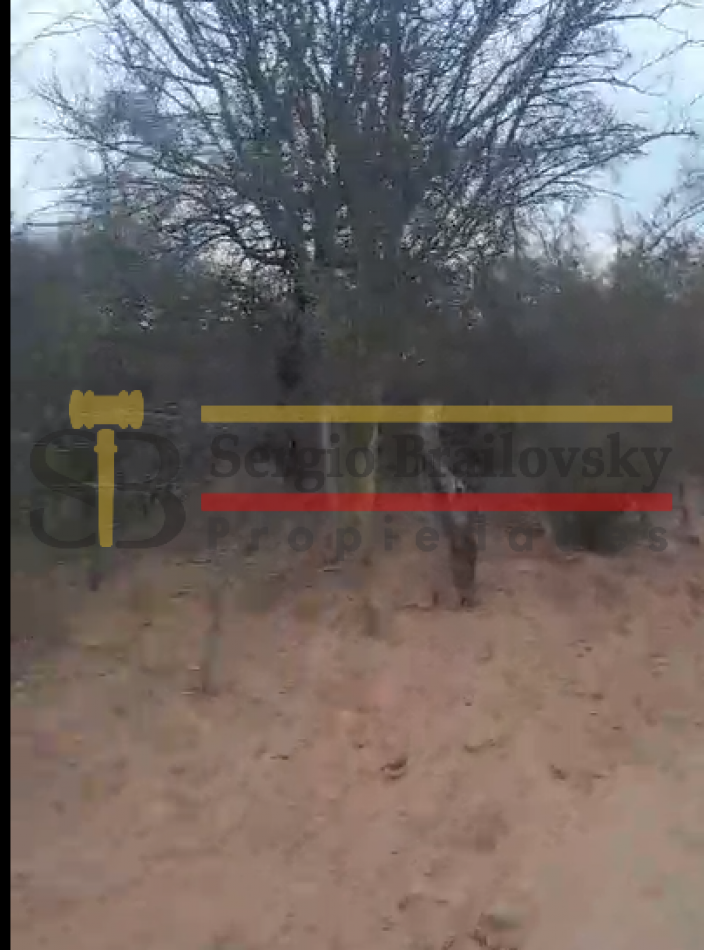 SE VENDE CAMPO DE 100 HA Candelaria San Luis
