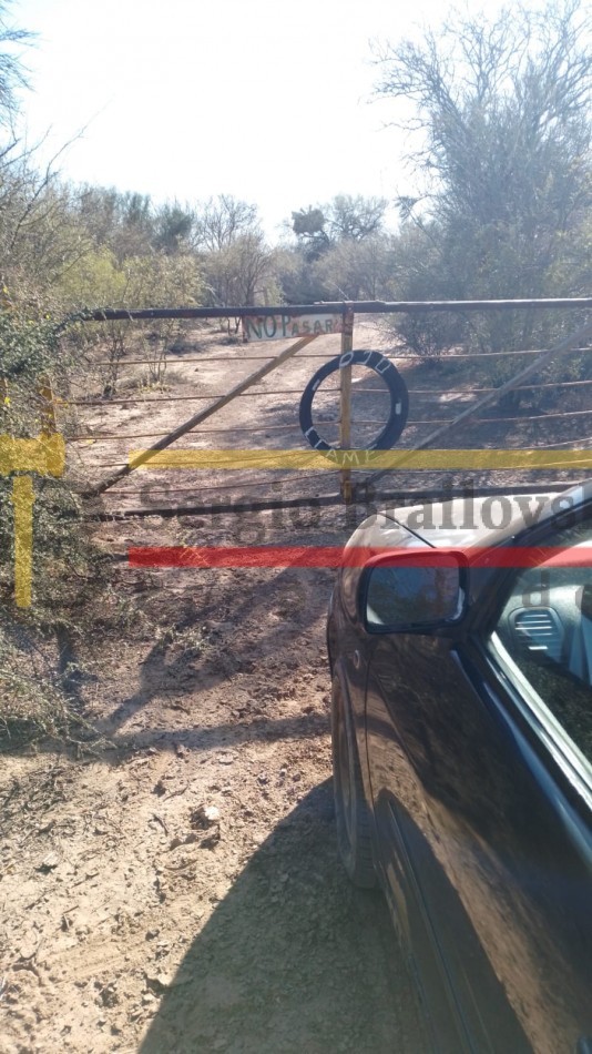 SE VENDE CAMPO DE 150 HA Candelaria San Luis