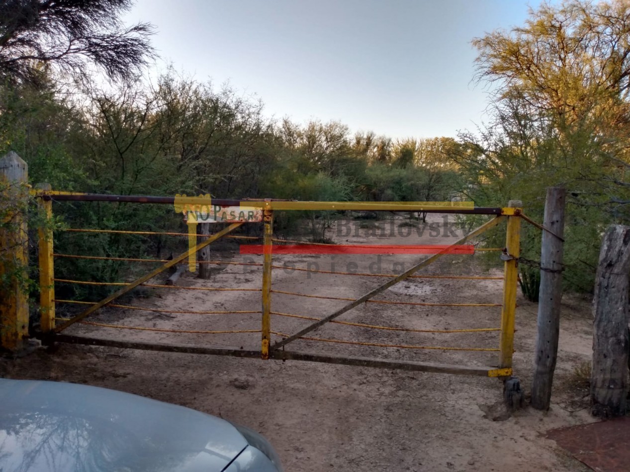 SE VENDE CAMPO DE 150 HA Candelaria San Luis