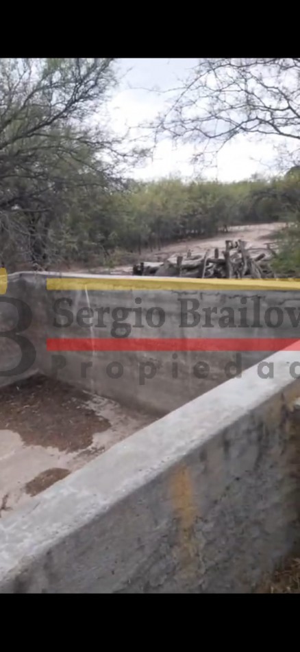 SE VENDE CAMPO DE 150 HA Candelaria San Luis