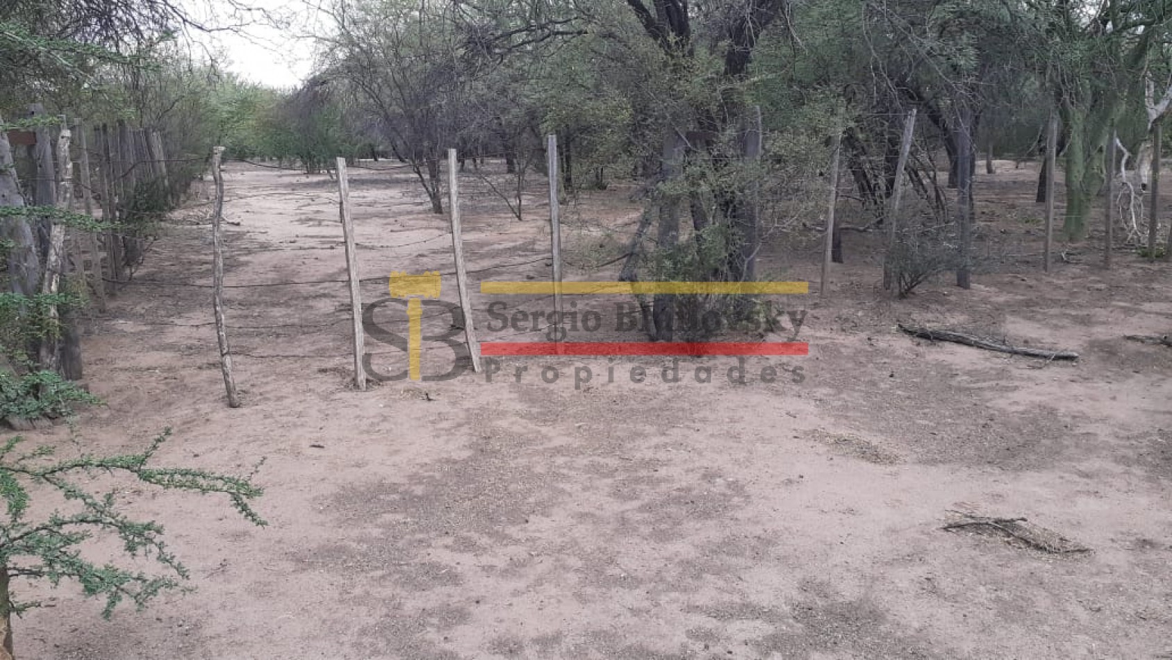 SE VENDE CAMPO DE 150 HA Candelaria San Luis