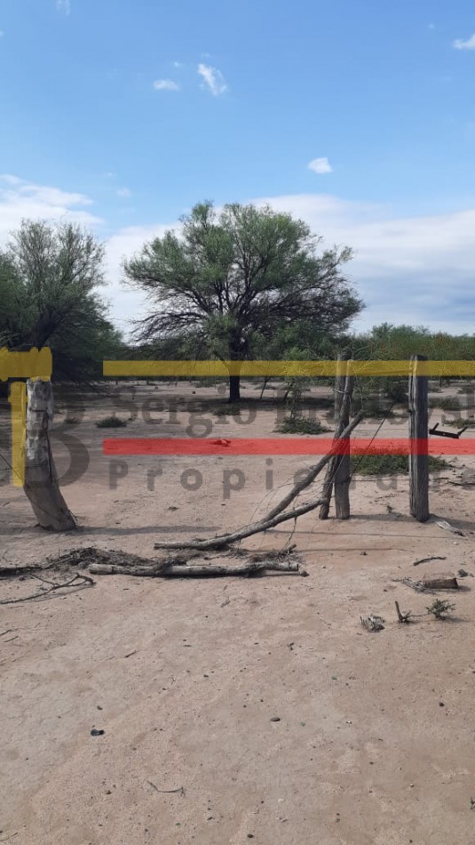 SE VENDE CAMPO DE 150 HA Candelaria San Luis