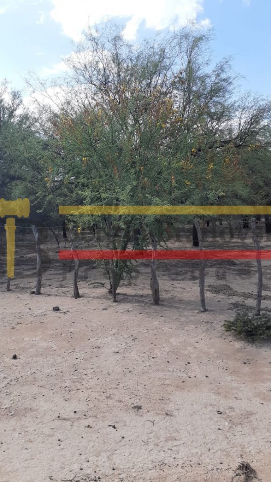 SE VENDE CAMPO DE 150 HA Candelaria San Luis