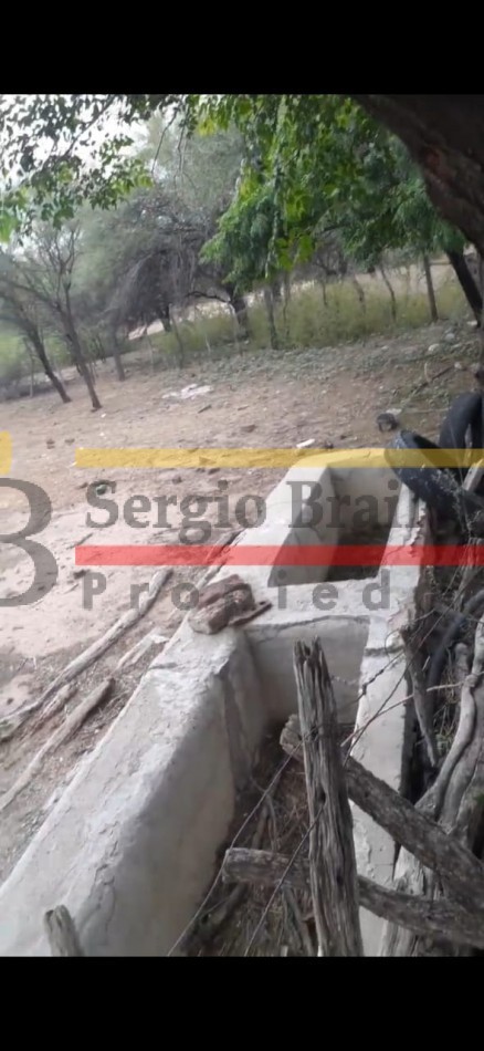 SE VENDE CAMPO DE 150 HA Candelaria San Luis