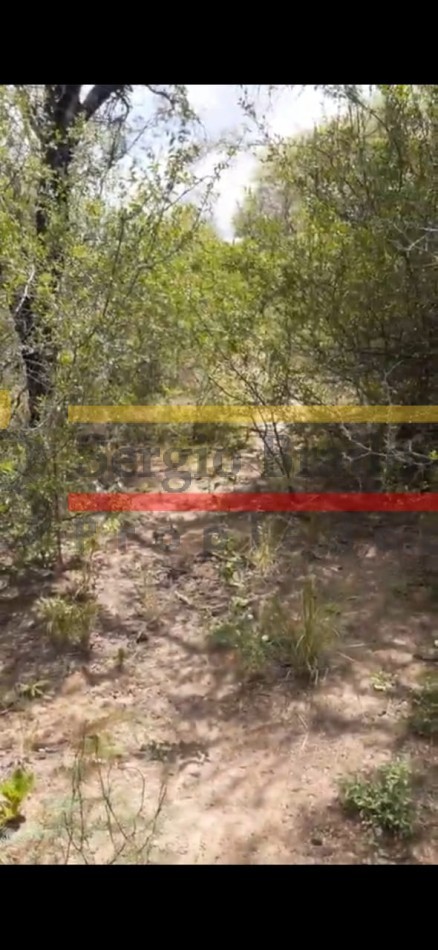 SE VENDE CAMPO DE 150 HA Candelaria San Luis