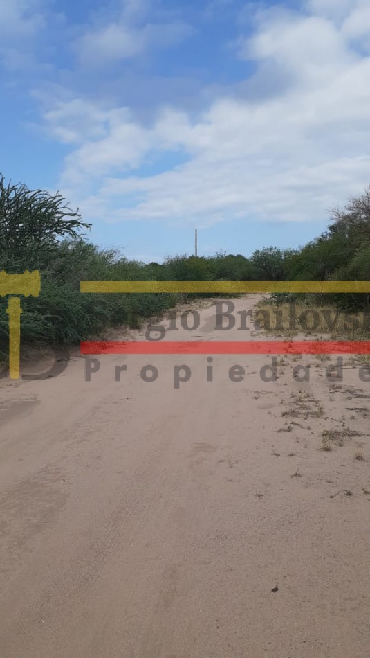 SE VENDE CAMPO DE 150 HA Candelaria San Luis