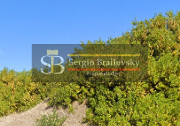 LOTE EN VENTA VILLA GESELL  