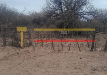 SE VENDE CAMPO DE 100 HA Candelaria San Luis